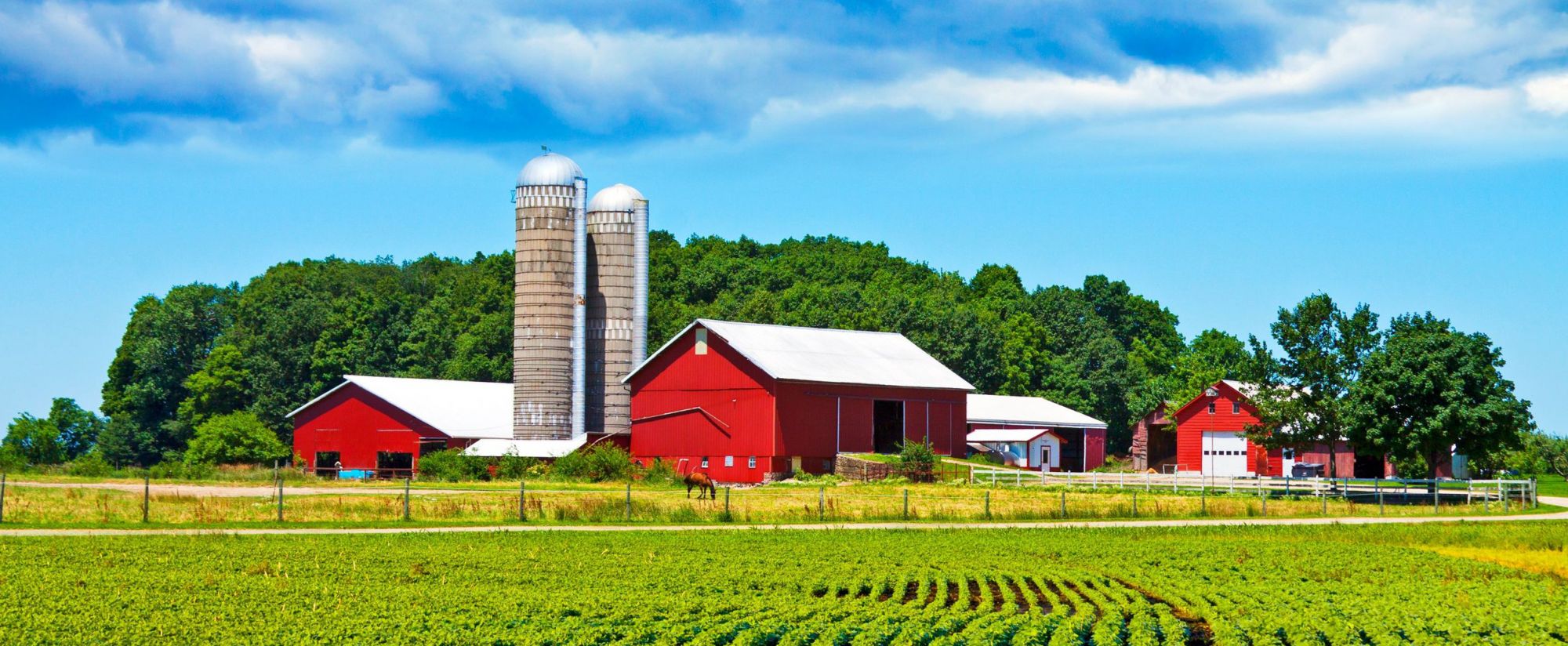 ROSENSTEEL INSURANCE, INC.